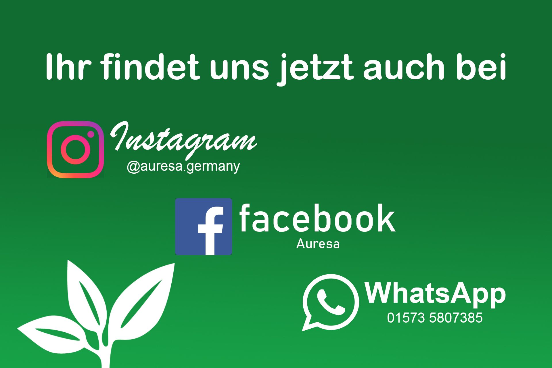 Instagram, Facebook, Whatsapp, Chat