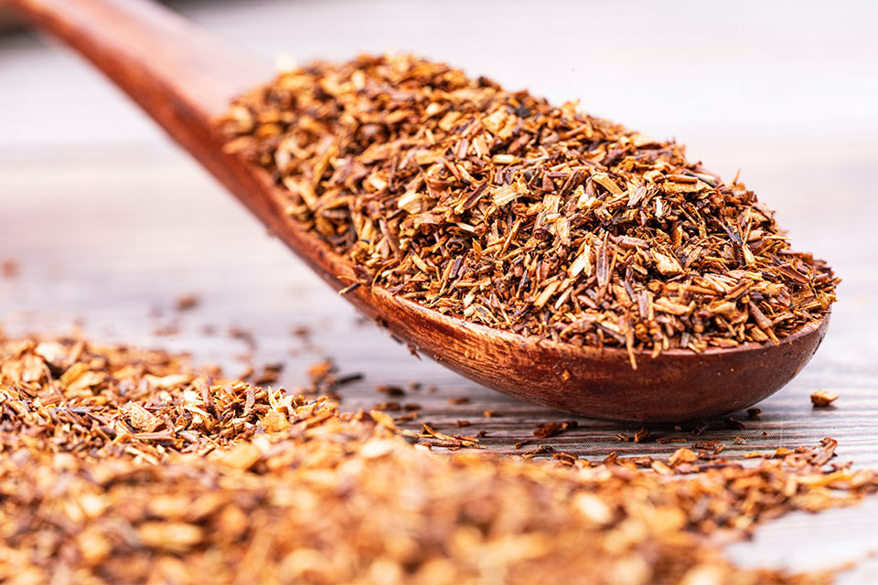 Rooibos vs. Honeybush was ist der Unterschied? AURESA Blog