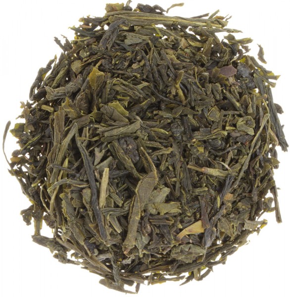Sencha